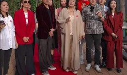 张兰爆料派对视频大全最新,揭秘名媛圈奢华生活瞬间